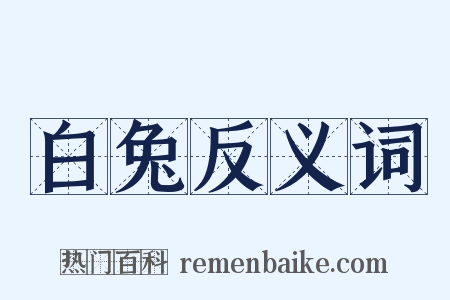 白兔反义词是什么意思的图片